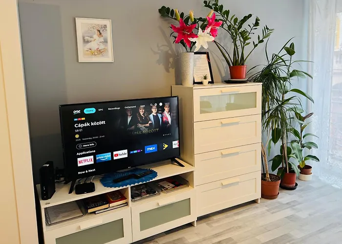 Apartment Onyx With Free Private Garage + Ac Budapest