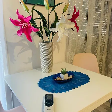 Apartmán Onyx With Free Private Garage + Ac