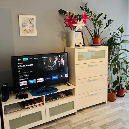 Lägenhet Onyx With Free Private Garage + Ac Budapest